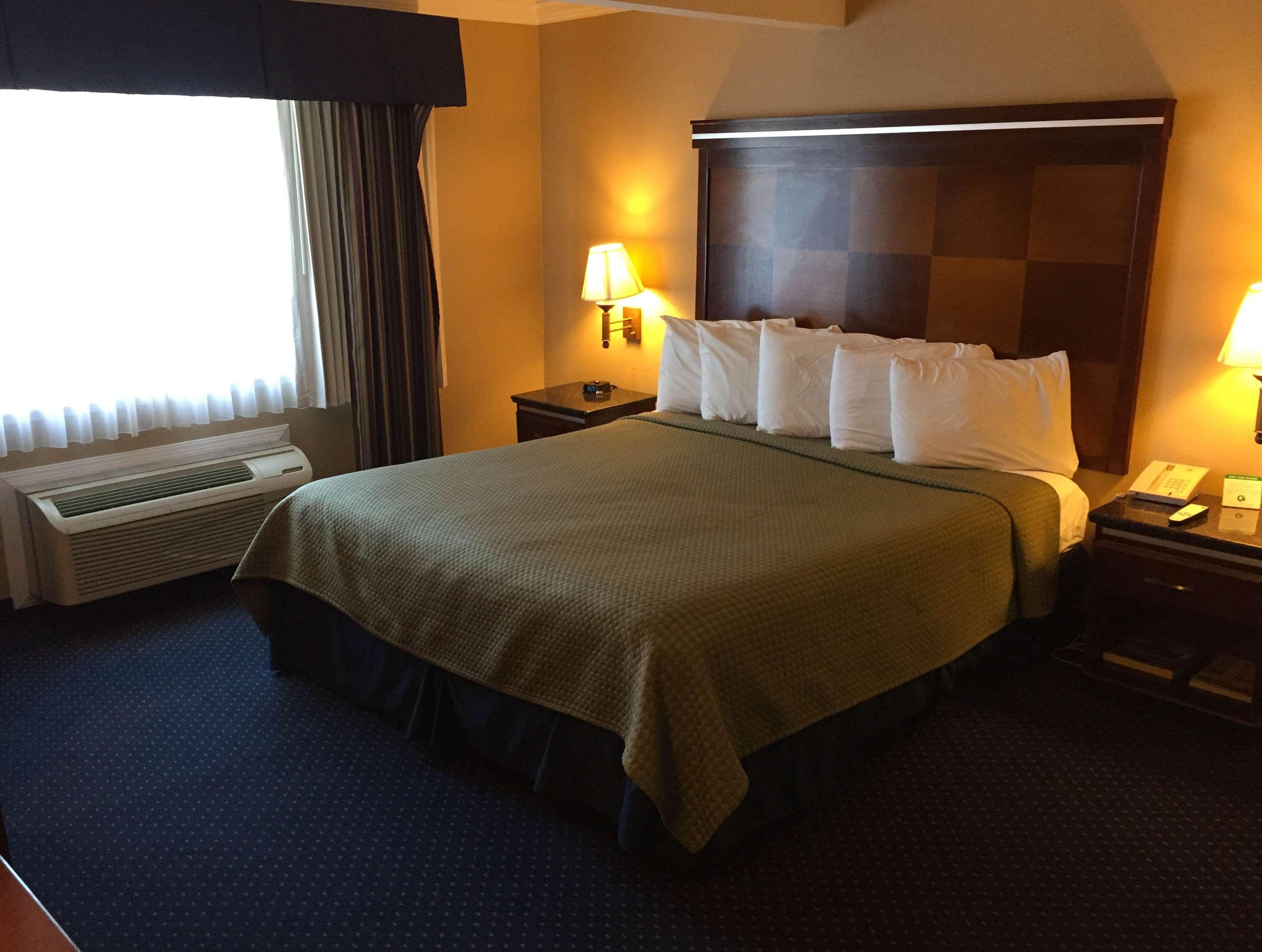 סן מטאו Inn At Bayshore מראה חיצוני תמונה