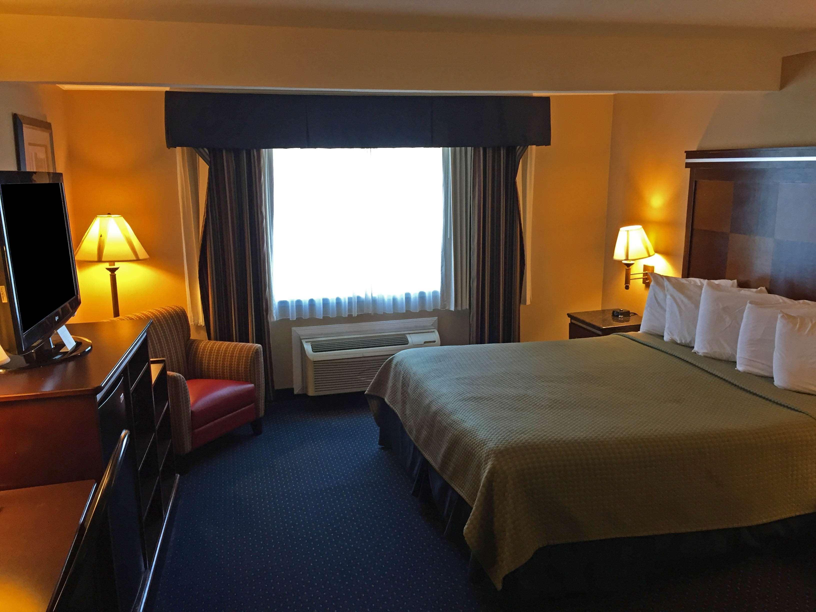 סן מטאו Inn At Bayshore מראה חיצוני תמונה